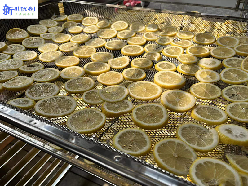 四川新川優(yōu)創(chuàng) 水果片烘干房 專業(yè)烘干機(jī)廠家